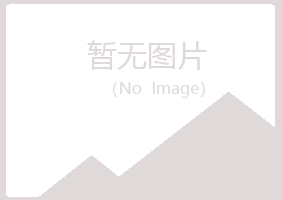 铜川迷茫律师有限公司